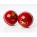 County Cricket Ball, Simply Cricket